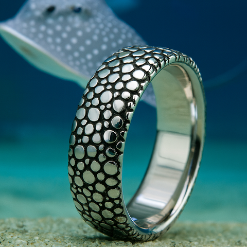 Stingray