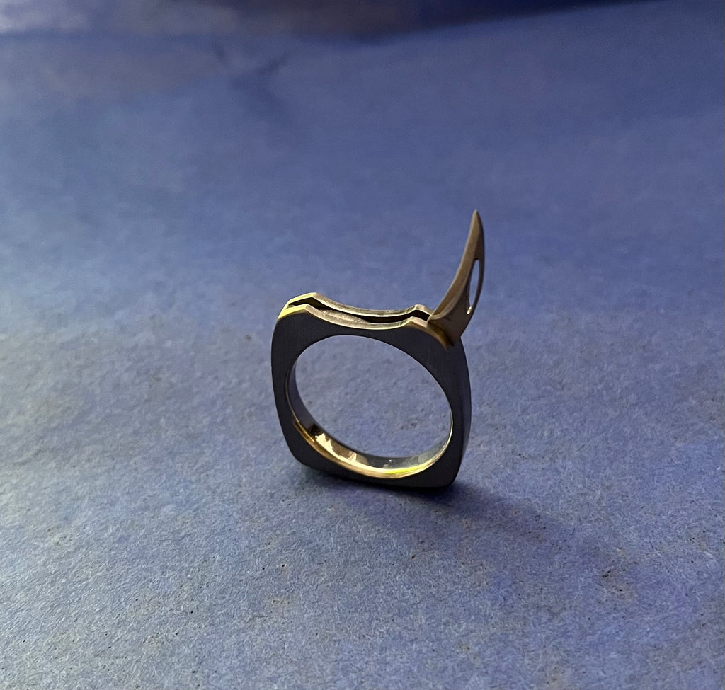 Raptor R Ring Raptor Lite – Boone Titanium Rings