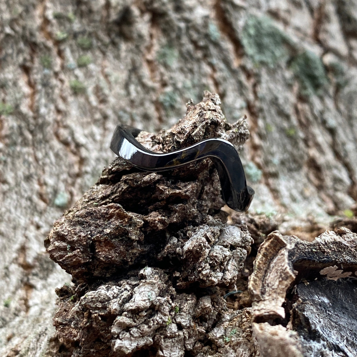 Xsis Companion – Boone Titanium Rings