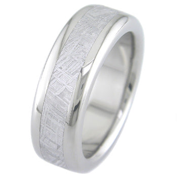 titanium radius maximus ring with meteorite inlay