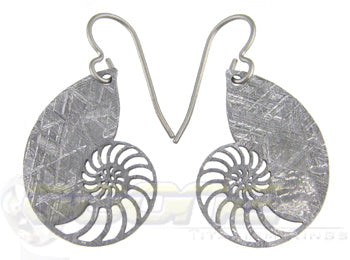 nautilus meteorite earrings