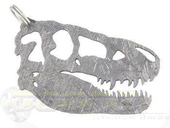 meteorite Tyrannosaurus Rex dinosaur head pendant